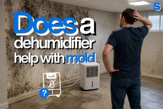 Does a dehumidifier help with mold?