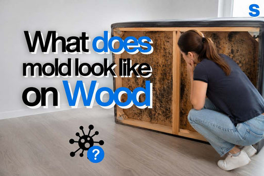 What does mold look like on wood